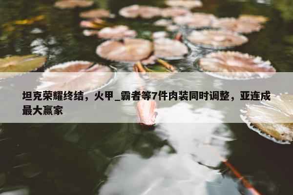 坦克荣耀终结，火甲_霸者等7件肉装同时调整，亚连成最大赢家