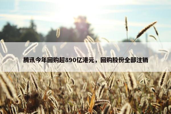 腾讯今年回购超890亿港元，回购股份全部注销