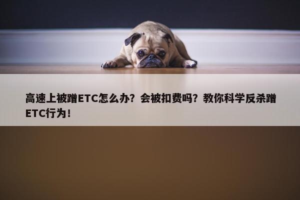 高速上被蹭ETC怎么办？会被扣费吗？教你科学反杀蹭ETC行为！