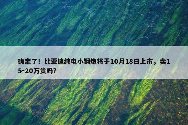 确定了！比亚迪纯电小钢炮将于10月18日上市，卖15-20万贵吗？