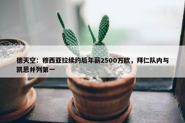 德天空：穆西亚拉续约后年薪2500万欧，拜仁队内与凯恩并列第一