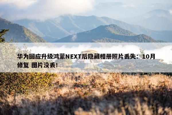 华为回应升级鸿蒙NEXT后隐藏相册照片丢失：10月修复 图片没丢！