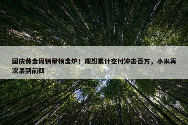 国庆黄金周销量榜出炉！理想累计交付冲击百万，小米再次杀到前四