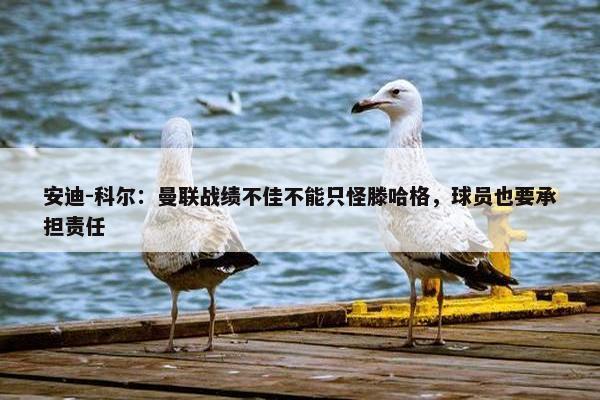 安迪-科尔：曼联战绩不佳不能只怪滕哈格，球员也要承担责任