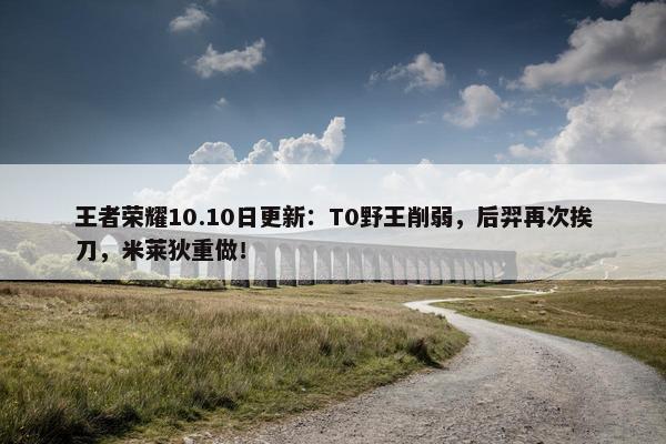 王者荣耀10.10日更新：T0野王削弱，后羿再次挨刀，米莱狄重做！