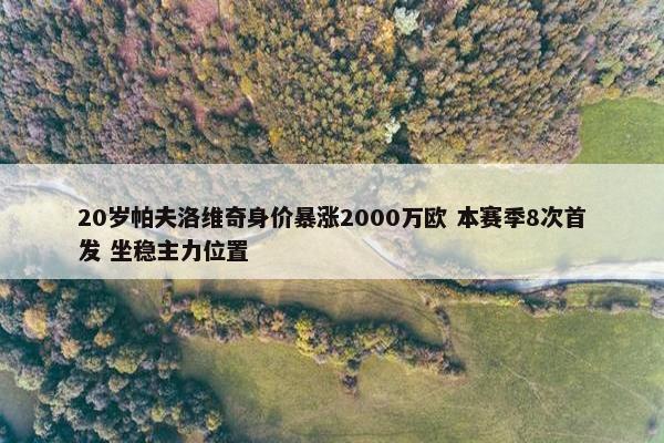 20岁帕夫洛维奇身价暴涨2000万欧 本赛季8次首发 坐稳主力位置