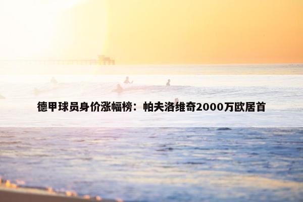 德甲球员身价涨幅榜：帕夫洛维奇2000万欧居首