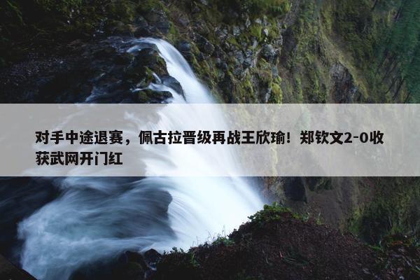 对手中途退赛，佩古拉晋级再战王欣瑜！郑钦文2-0收获武网开门红