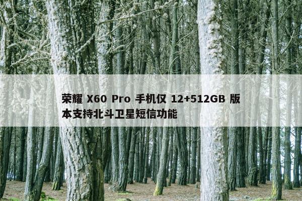 荣耀 X60 Pro 手机仅 12+512GB 版本支持北斗卫星短信功能