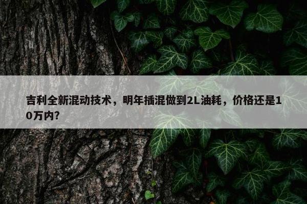 吉利全新混动技术，明年插混做到2L油耗，价格还是10万内？