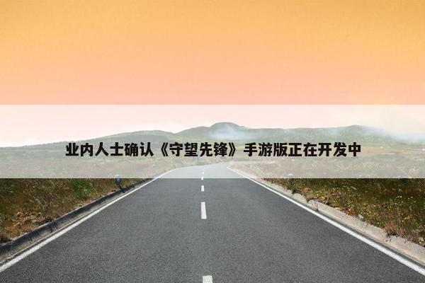 业内人士确认《守望先锋》手游版正在开发中