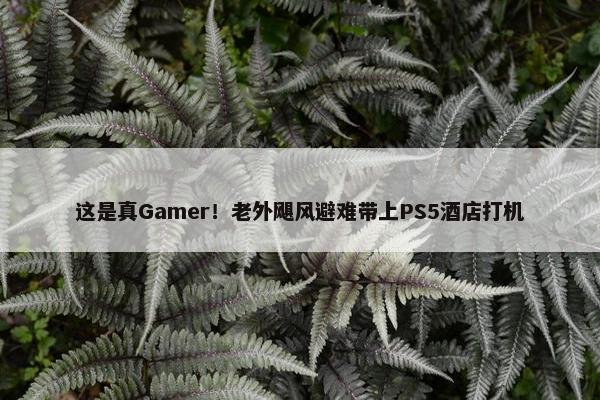 这是真Gamer！老外飓风避难带上PS5酒店打机