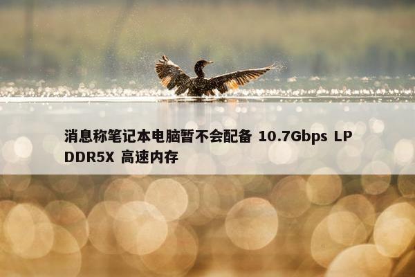 消息称笔记本电脑暂不会配备 10.7Gbps LPDDR5X 高速内存