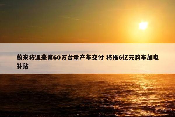 蔚来将迎来第60万台量产车交付 将推6亿元购车加电补贴