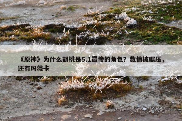 《原神》为什么胡桃是5.1最惨的角色？数值被碾压，还有玛薇卡