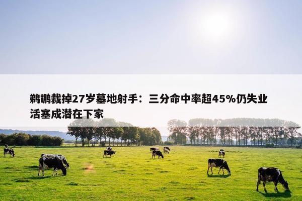 鹈鹕裁掉27岁墓地射手：三分命中率超45%仍失业 活塞成潜在下家