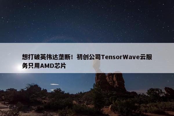 想打破英伟达垄断！初创公司TensorWave云服务只用AMD芯片