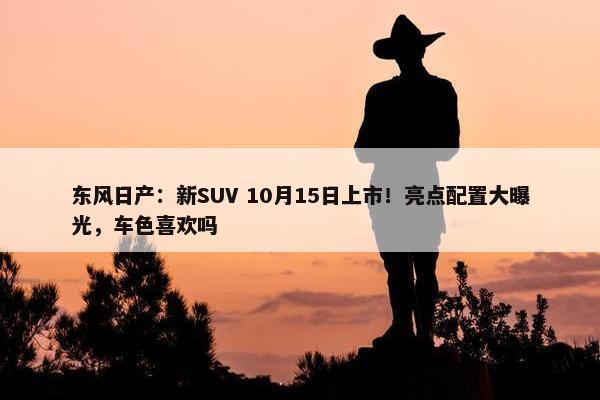 东风日产：新SUV 10月15日上市！亮点配置大曝光，车色喜欢吗