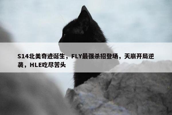 S14北美奇迹诞生，FLY最强杀招登场，天崩开局逆袭，HLE吃尽苦头