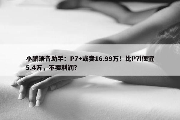 小鹏语音助手：P7+或卖16.99万！比P7i便宜5.4万，不要利润？