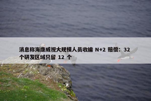 消息称海康威视大规模人员收编 N+2 赔偿：32 个研发区域只留 12 个