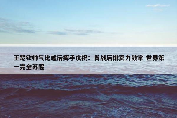 王楚钦帅气比嘘后挥手庆祝：肖战后排卖力鼓掌 世界第一完全苏醒