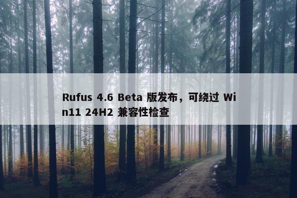 Rufus 4.6 Beta 版发布，可绕过 Win11 24H2 兼容性检查