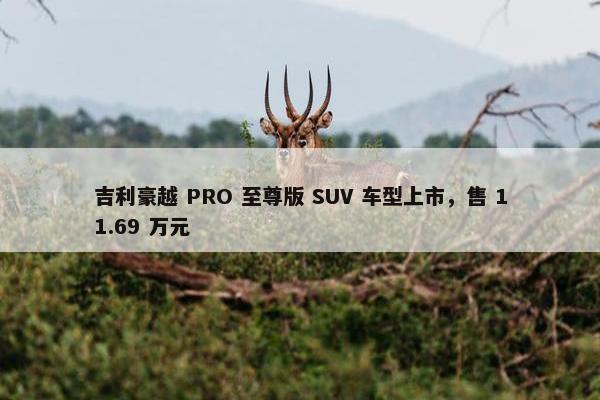 吉利豪越 PRO 至尊版 SUV 车型上市，售 11.69 万元