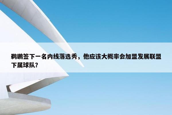 鹈鹕签下一名内线落选秀，他应该大概率会加盟发展联盟下属球队？