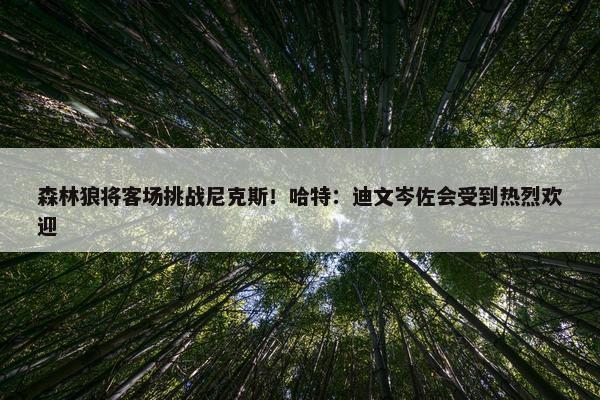 森林狼将客场挑战尼克斯！哈特：迪文岑佐会受到热烈欢迎