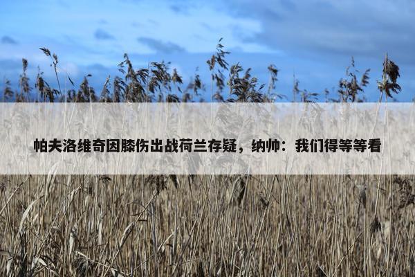 帕夫洛维奇因膝伤出战荷兰存疑，纳帅：我们得等等看