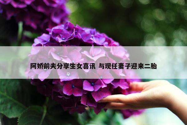 阿娇前夫分享生女喜讯 与现任妻子迎来二胎