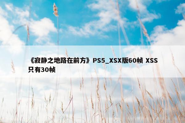 《寂静之地路在前方》PS5_XSX版60帧 XSS只有30帧