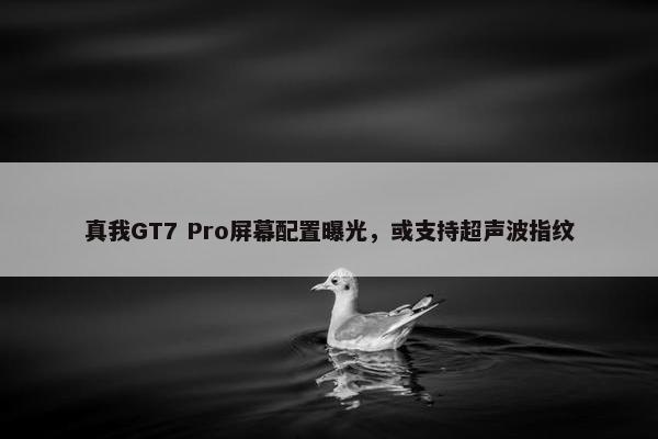 真我GT7 Pro屏幕配置曝光，或支持超声波指纹