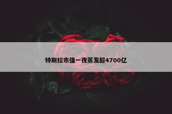 特斯拉市值一夜蒸发超4700亿