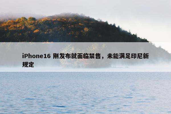 iPhone16 刚发布就面临禁售，未能满足印尼新规定