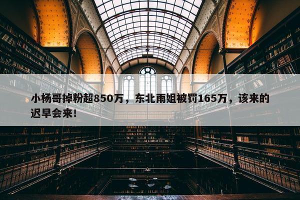 小杨哥掉粉超850万，东北雨姐被罚165万，该来的迟早会来！