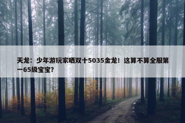 天龙：少年游玩家晒双十5035金龙！这算不算全服第一65级宝宝？