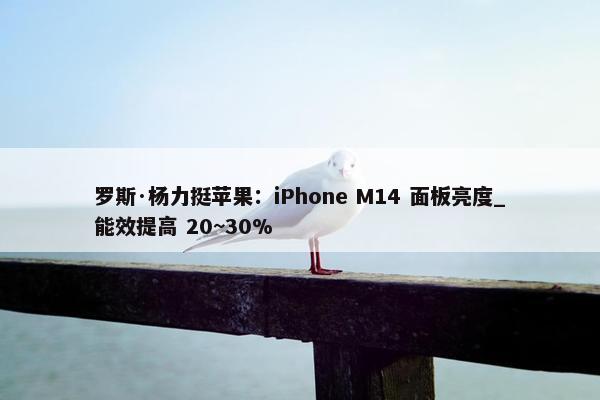 罗斯·杨力挺苹果：iPhone M14 面板亮度_能效提高 20~30%