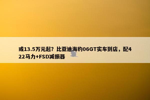 或13.5万元起？比亚迪海豹06GT实车到店，配422马力+FSD减振器