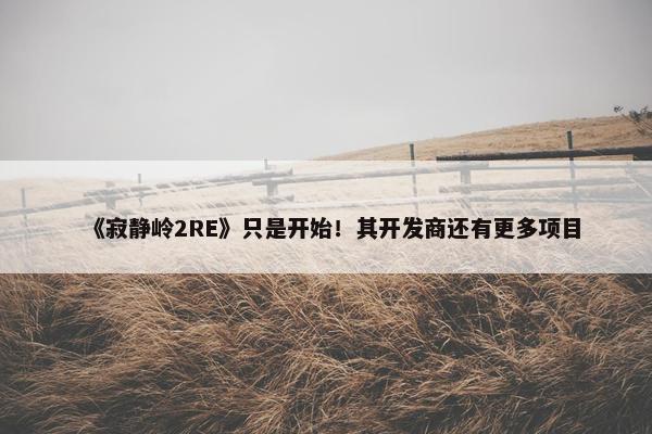 《寂静岭2RE》只是开始！其开发商还有更多项目