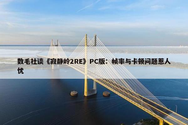 数毛社谈《寂静岭2RE》PC版：帧率与卡顿问题惹人忧