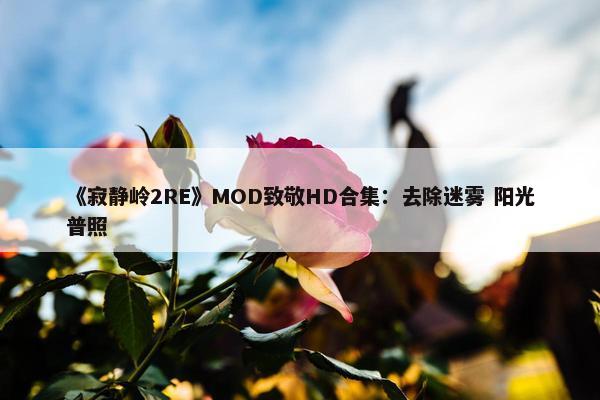 《寂静岭2RE》MOD致敬HD合集：去除迷雾 阳光普照