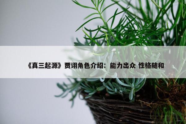 《真三起源》贾诩角色介绍：能力出众 性格随和