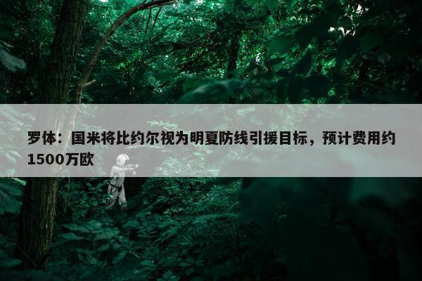 罗体：国米将比约尔视为明夏防线引援目标，预计费用约1500万欧