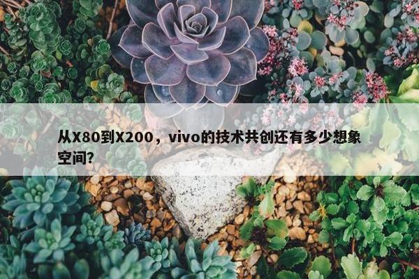 从X80到X200，vivo的技术共创还有多少想象空间？