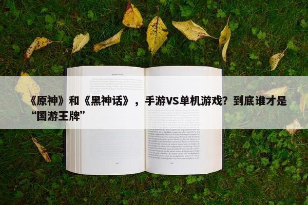 《原神》和《黑神话》，手游VS单机游戏？到底谁才是“国游王牌”