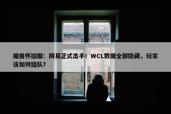 魔兽怀旧服：网易正式出手！WCL数据全部隐藏，玩家该如何组队？