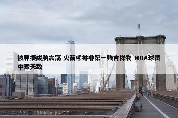 被胖揍成脑震荡 火箭熊并非第一贱吉祥物 NBA球员中藏天敌