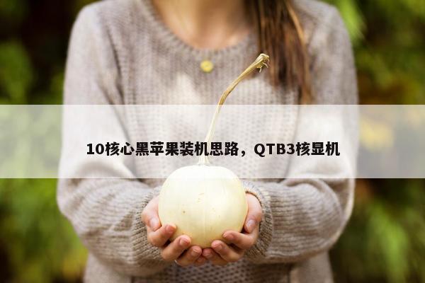 10核心黑苹果装机思路，QTB3核显机